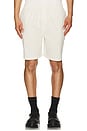 view 3 of 4 Infinity Beach Short in Dirty White