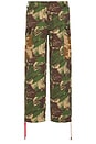 view 1 of 6 Arts & Crafts Cargo Pant in Earthly Delights