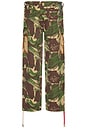 view 2 of 6 Arts & Crafts Cargo Pant in Earthly Delights