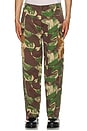 view 3 of 6 Arts & Crafts Cargo Pant in Earthly Delights