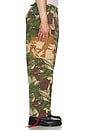 view 4 of 6 Arts & Crafts Cargo Pant in Earthly Delights