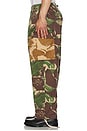 view 5 of 6 Arts & Crafts Cargo Pant in Earthly Delights