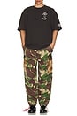 view 6 of 6 Arts & Crafts Cargo Pant in Earthly Delights