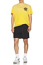 view 4 of 4 Zounds Tee in Golden Rod