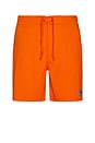 view 1 of 6 Ricos Boardshort in Mandarin Orange