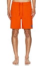 view 5 of 6 Ricos Boardshort in Mandarin Orange