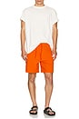 view 6 of 6 Ricos Boardshort in Mandarin Orange