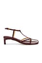 view 1 of 5 Tee Sandal in Bordeaux
