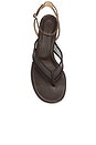 view 4 of 5 SANDALES FINA THONG in Espresso