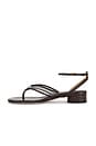 view 5 of 5 SANDALES FINA THONG in Espresso