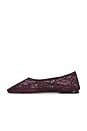 view 5 of 5 Balla Lace Shoe in Bordeaux