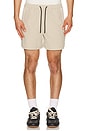view 1 of 5 The Ripstop Cargo Short in Beige