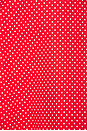 view 4 of 4 VESTIDO MIDI MARGAUX in Red Love