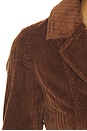 view 6 of 5 Celine Jacket in Espresso