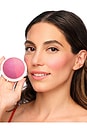 view 3 of 4 The Duet: Baked Blush Duo in VIP Pink