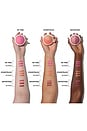 view 4 of 4 The Duet: Baked Blush Duo in Backstage
