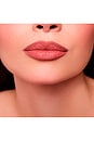 view 4 of 8 No Pressure Lip Liner in Debrief