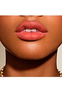 view 4 of 8 No Pressure Lip Liner in Catch Up