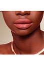 view 4 of 8 No Pressure Lip Liner in Tea Time