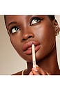 view 5 of 8 No Pressure Lip Liner in Tea Time