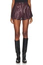 view 1 of 6 Emma Shorts in Dark Plum