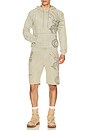 view 5 of 6 P-erry Shorts in Beige