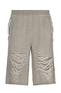 view 1 of 5 Distressed Shorts in Grey