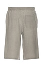 view 2 of 5 Distressed Shorts in Grey