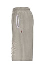 view 3 of 5 Distressed Shorts in Grey
