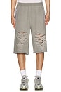view 4 of 5 Distressed Shorts in Grey