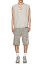 view 5 of 5 Distressed Shorts in Grey