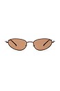 view 1 of 3 Oval Sunglasses in Brown