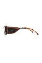 view 3 of 3 GAFAS DE SOL in Dark Brown