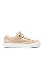 view 1 of 6 Marostica Low in Nude Suede