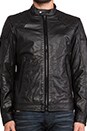 view 5 of 5 Laleta Leather Jacket in Black