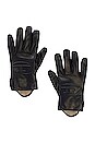 view 1 of 2 Reies Gloves in Black