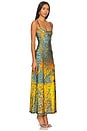 view 2 of 4 D-amour Maxi Dress in Multi