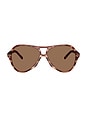 view 1 of 3 Aviator Sunglasses in Striated Brown