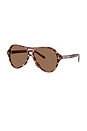 view 2 of 3 Aviator Sunglasses in Striated Brown