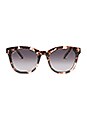 view 1 of 3 Ryder in Himalayan Tortoise & Smoke Gradient