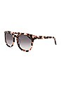 view 2 of 3 Ryder in Himalayan Tortoise & Smoke Gradient