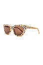 view 2 of 3 Camila Sunglasses in Chestnut Weave & Brown
