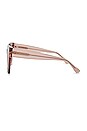 view 3 of 3 Dani Sunglasses in Rose Stone & Taupe Rose Gradient