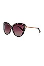 view 2 of 3 LUNETTES DE SOLEIL AVERY in Wine Tort & Wine Gradient