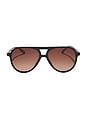 view 1 of 4 Tosca Ii Sunglasses in Black & Brown Gradient