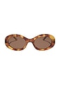 view 1 of 4 Lainey Sunglasses in Brown Fleur & Brown