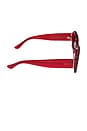 view 3 of 3 Indy Sunglasses in Red Hot Summer & Grey Polarized