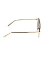 view 3 of 3 LUNETTES DE SOLEIL CHARLEY in Gold & Brown Polarized