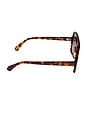 view 3 of 3 GAFAS DE SOL LAYTON in Rich Tortoise & Brown Gradient
