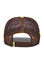 view 2 of 3 Please Do Not Disturb Trucker Hat in Brown